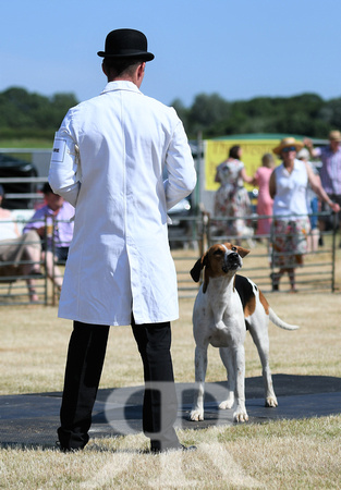 The Blaston Hound Show 2023 022