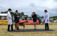 Blaston Hound show Winners & Young Handlers 2024 153