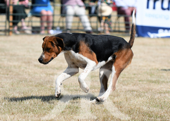 The Blaston Hound Show 2023 010