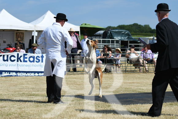 The Blaston Hound Show 2023 028