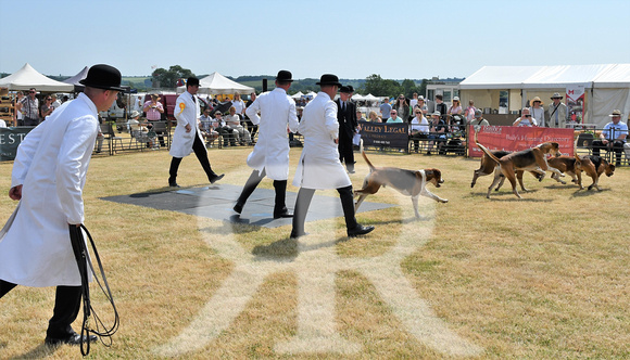 The Blaston Hound Show 2023 WINNERS 038