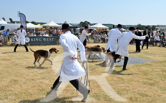 The Blaston Hound Show 2023 WINNERS 036