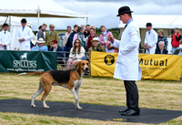 Blaston Hound Show 2024 034