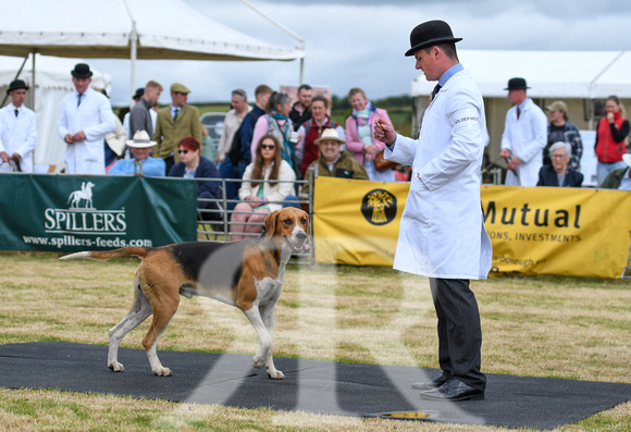 Blaston Hound Show 2024 034