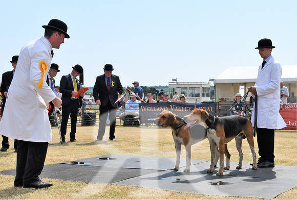 The Blaston Hound Show 2023 WINNERS 050