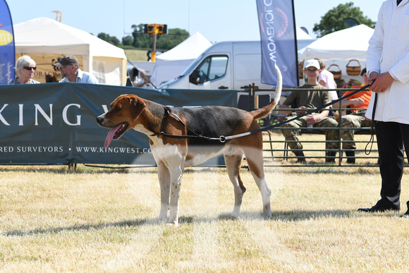 The Blaston Hound Show 2023 WINNERS 015