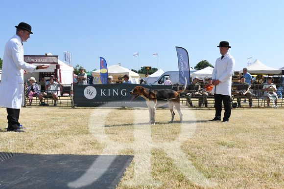 The Blaston Hound Show 2023 WINNERS 019