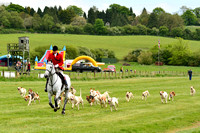 Fitzwilliam Hunt Point to Point . Racecourse images 014