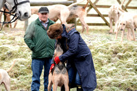 North Hereford Hunt 054