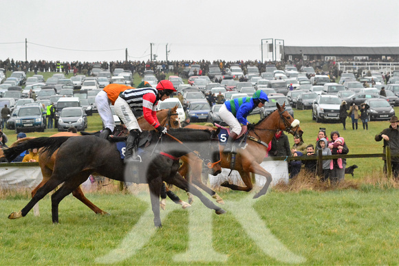 Woodland Pytchley Point to Point 2016 ( racecourse ) 070