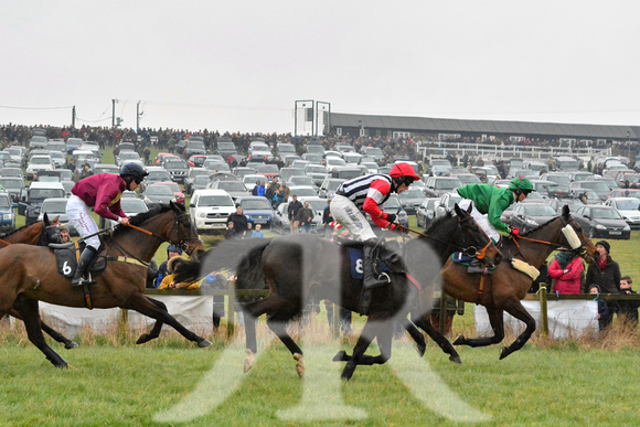 Woodland Pytchley Point to Point 2016 ( racecourse ) 079