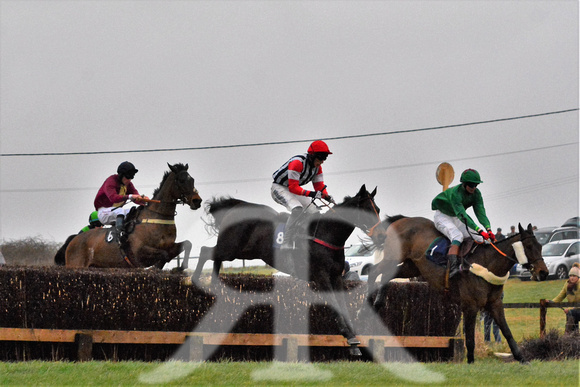 Woodland Pytchley Point to Point 2016 ( racecourse ) 076