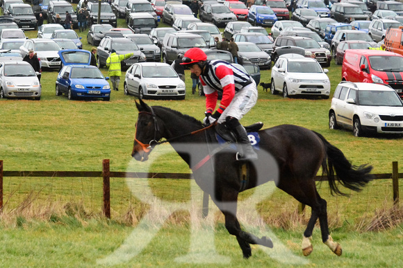 Woodland Pytchley Point to Point 2016 ( racecourse ) 048