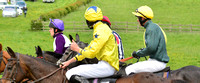 Fitzwilliam Hunt Point to Point . Racecourse images 072