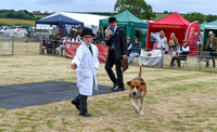 Blaston Hound show Winners & Young Handlers 2024 175