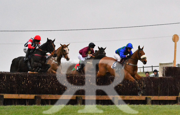 Woodland Pytchley Point to Point 2016 ( racecourse ) 066