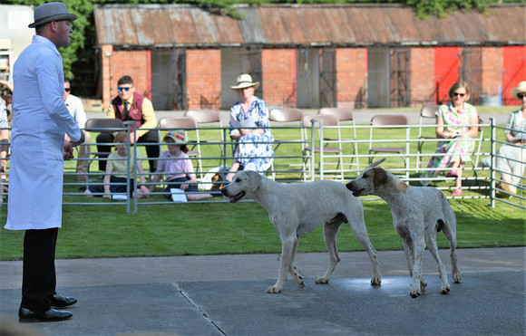 Fernie Puppy Show 2023 033