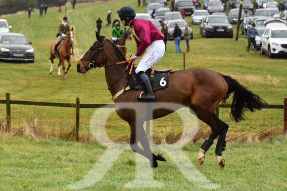 Woodland Pytchley Point to Point 2016 ( racecourse ) 062