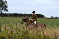 Fernie Autumn Hound Training at Hill Farm Gumley and Goffe Cave Farm Hallaton 2024 019