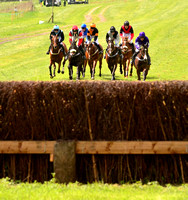 Fitzwilliam Hunt Point to Point . Racecourse images 085