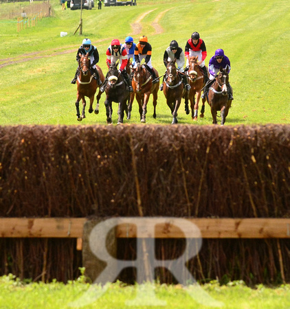 Fitzwilliam Hunt Point to Point . Racecourse images 085