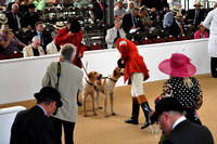 Peterborough Festival of Hunting 2022 034