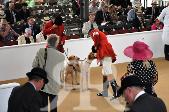 Peterborough Festival of Hunting 2022 034