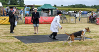 Blaston Hound show Winners & Young Handlers 2024 168