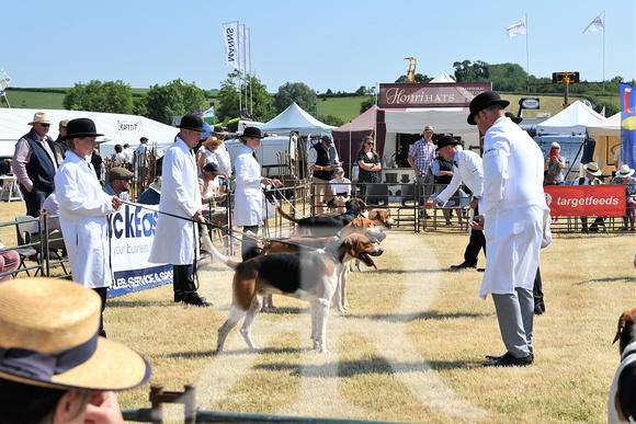 The Blaston Hound Show 2023 WINNERS 003