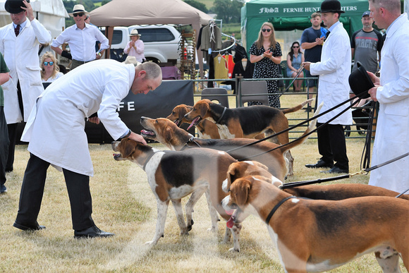 The Blaston Hound Show 2023 WINNERS 047