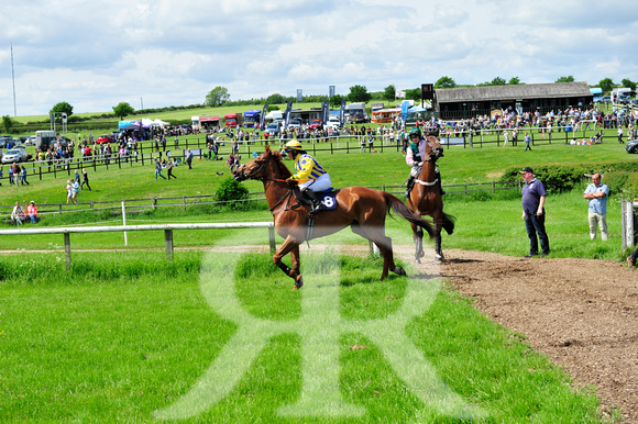 Meynell & South Staffs Point to Point at Garthorpe Presentations 308