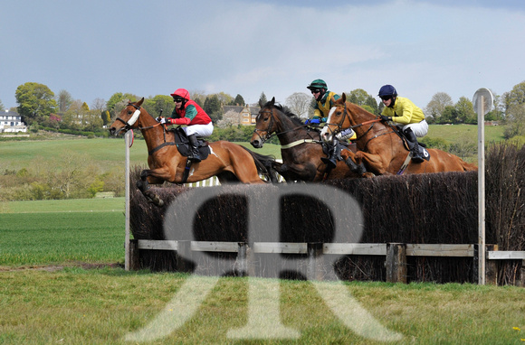 Ferine & Fitzwilliam Point to Point 2021 Back straight images ! 045
