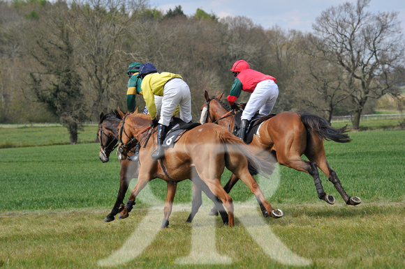 Ferine & Fitzwilliam Point to Point 2021 Back straight images ! 053
