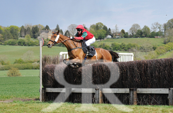 Ferine & Fitzwilliam Point to Point 2021 Back straight images ! 063