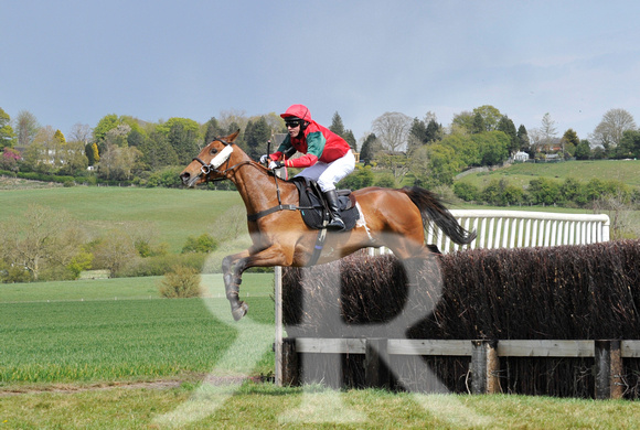 Ferine & Fitzwilliam Point to Point 2021 Back straight images ! 064