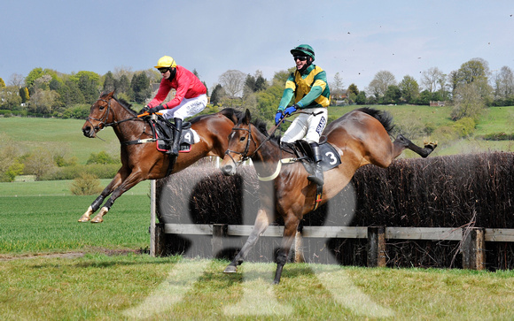 Ferine & Fitzwilliam Point to Point 2021 Back straight images ! 068