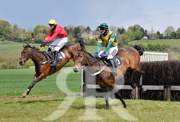 Ferine & Fitzwilliam Point to Point 2021 Back straight images ! 069