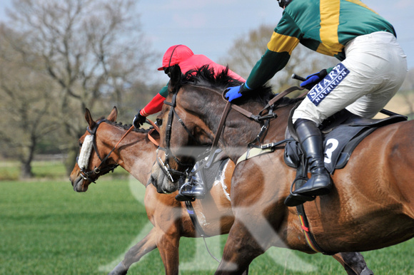 Ferine & Fitzwilliam Point to Point 2021 Back straight images ! 071