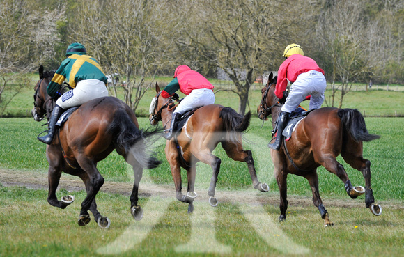 Ferine & Fitzwilliam Point to Point 2021 Back straight images ! 073
