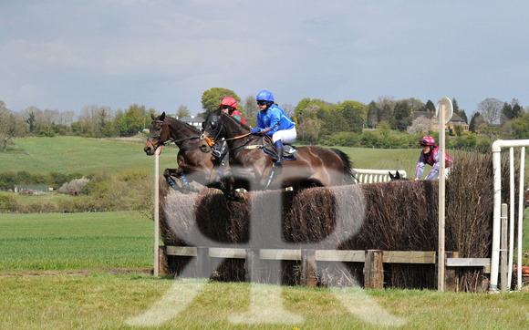 Ferine & Fitzwilliam Point to Point 2021 Back straight images ! 076