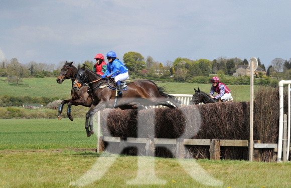 Ferine & Fitzwilliam Point to Point 2021 Back straight images ! 077