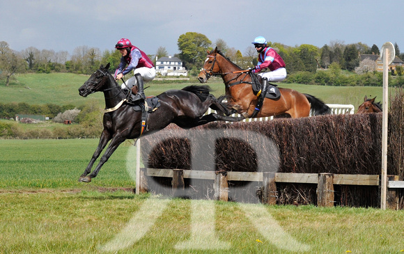 Ferine & Fitzwilliam Point to Point 2021 Back straight images ! 081