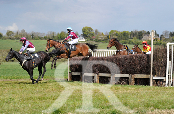 Ferine & Fitzwilliam Point to Point 2021 Back straight images ! 083