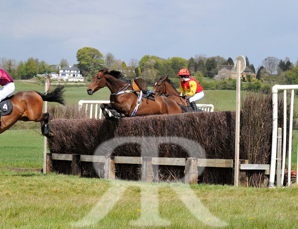 Ferine & Fitzwilliam Point to Point 2021 Back straight images ! 084