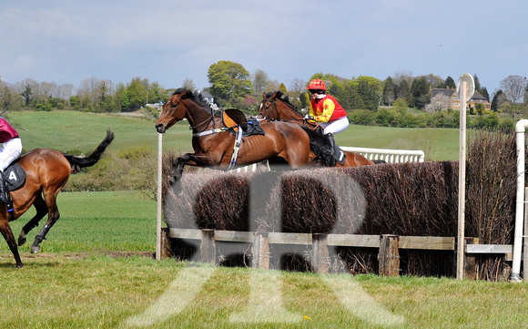 Ferine & Fitzwilliam Point to Point 2021 Back straight images ! 085