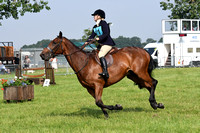 Peterborough Festival of Hunting 2021 033