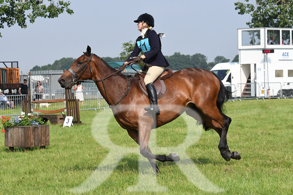 Peterborough Festival of Hunting 2021 033