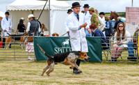 Blaston Hound Show 2024 022