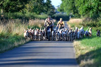 A Morning with the Fernie Hounds