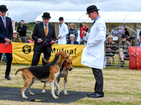 Blaston Hound Show 2024 032